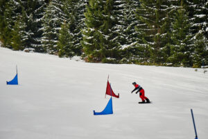 ParaSki4Europe. Fot. Adrian Stykowski, PKPar (29.02.2020) / snowboard