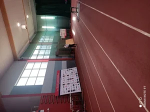 Paralekkoatletyka