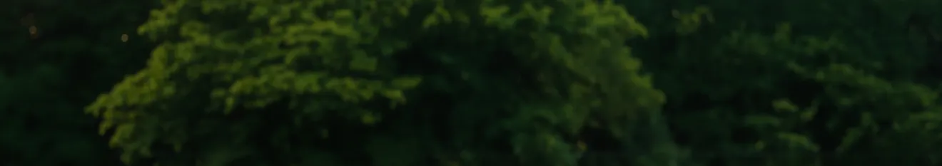 Tlogora Pkpar